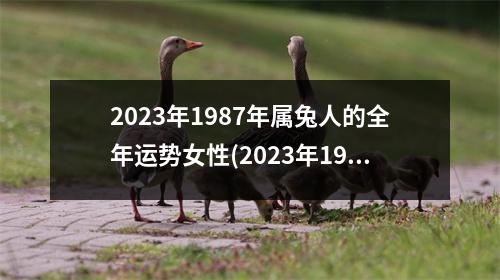 2023年1987年属兔人的全年运势女性(2023年1987年属兔人的全年运势女性合适做整形吗)