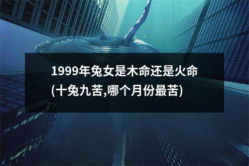 1999年兔女是木命还是火命(十兔九苦,哪个月份苦)