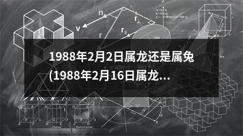 1988年2月2日属龙还是属兔(1988年2月16日属龙还是属兔)