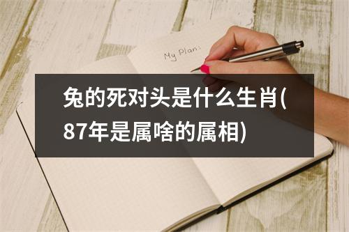 兔的死对头是什么生肖(87年是属啥的属相)