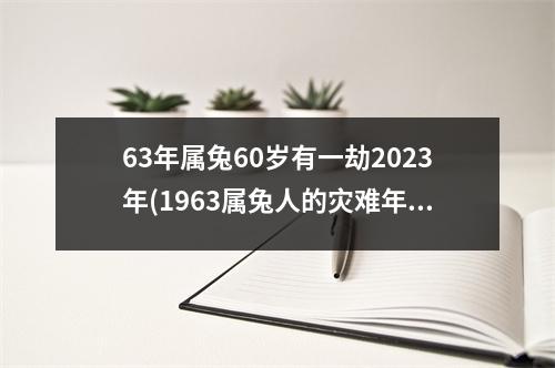 63年属兔60岁有一劫2023年(1963属兔人的灾难年龄)