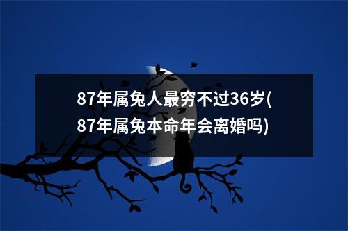 87年属兔人穷不过36岁(87年属兔本命年会离婚吗)