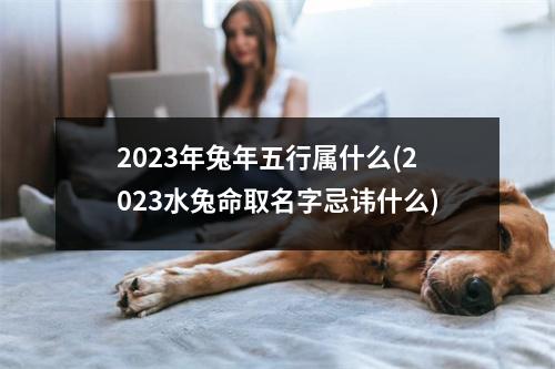 2023年兔年五行属什么(2023水兔命取名字忌讳什么)