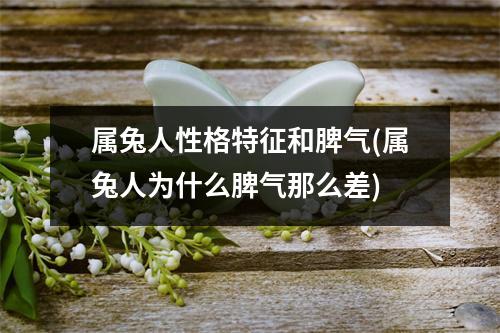 属兔人性格特征和脾气(属兔人为什么脾气那么差)