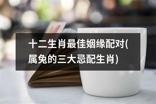 十二生肖佳姻缘配对(属兔的三大忌配生肖)