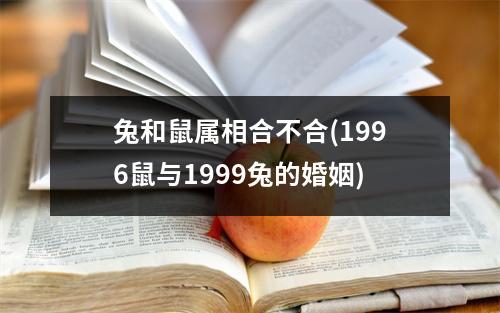 兔和鼠属相合不合(1996鼠与1999兔的婚姻)