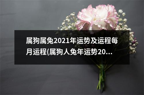 属狗属兔2021年运势及运程每月运程(属狗人兔年运势2023年运程怎么样)