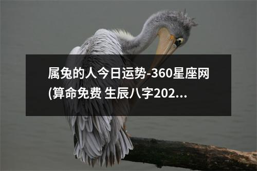 属兔的人今日运势-360星座网(算命免费 生辰八字2023年运势)