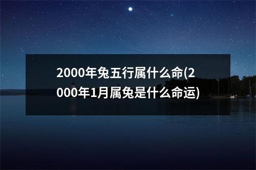 2000年兔五行属什么命(2000年1月属兔是什么命运)