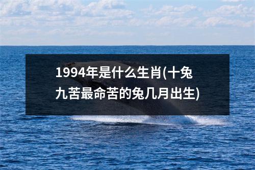 1994年是什么生肖(十兔九苦命苦的兔几月出生)