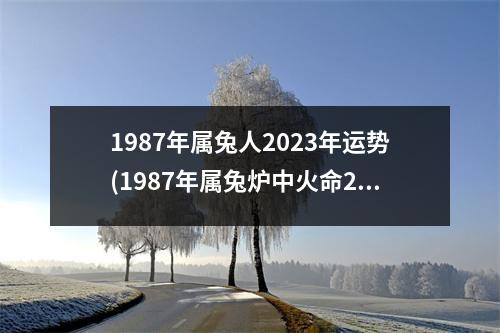 1987年属兔人2023年运势(1987年属兔炉中火命2023运势)