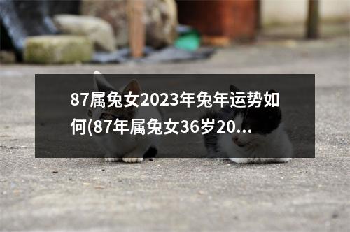 87属兔女2023年兔年运势如何(87年属兔女36岁2023运势)