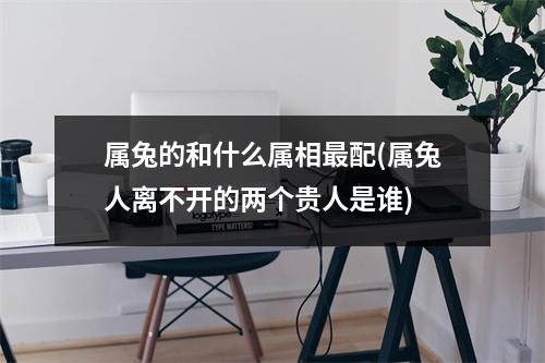 属兔的和什么属相配(属兔人离不开的两个贵人是谁)