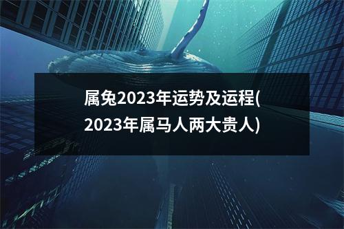 属兔2023年运势及运程(2023年属马人两大贵人)