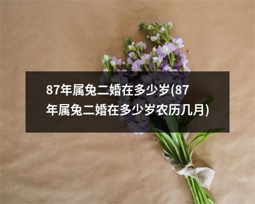 87年属兔二婚在多少岁(87年属兔二婚在多少岁农历几月)