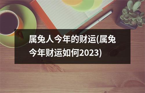 属兔人今年的财运(属兔今年财运如何2023)