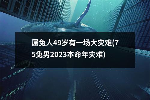 属兔人49岁有一场大灾难(75兔男2023本命年灾难)