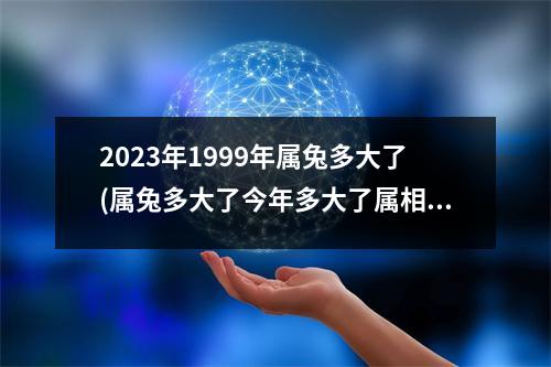 2023年1999年属兔多大了(属兔多大了今年多大了属相年龄表)