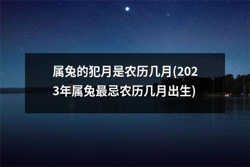 属兔的犯月是农历几月(2023年属兔忌农历几月出生)