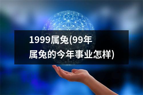 1999属兔(99年属兔的今年事业怎样)