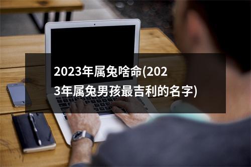 2023年属兔啥命(2023年属兔男孩吉利的名字)