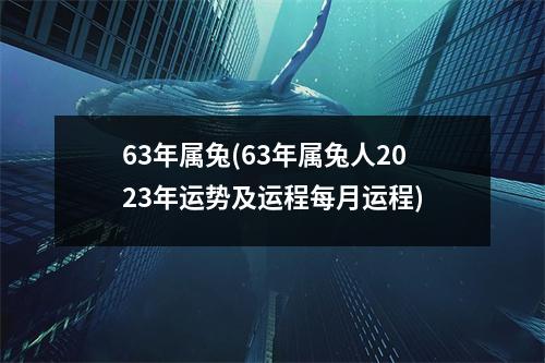 63年属兔(63年属兔人2023年运势及运程每月运程)