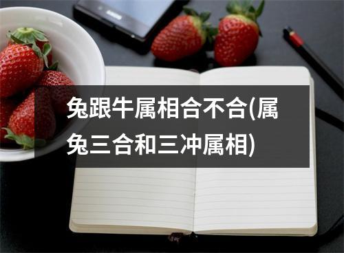 兔跟牛属相合不合(属兔三合和三冲属相)