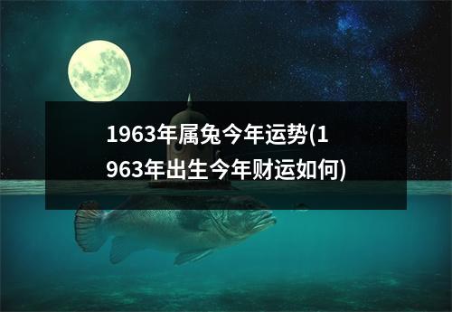 1963年属兔今年运势(1963年出生今年财运如何)