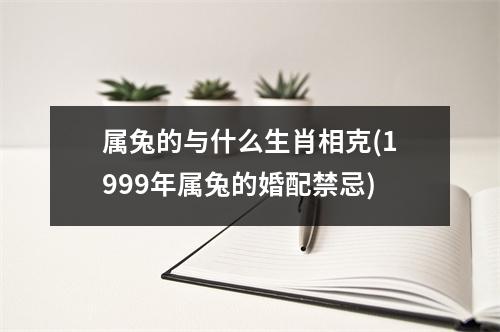 属兔的与什么生肖相克(1999年属兔的婚配禁忌)