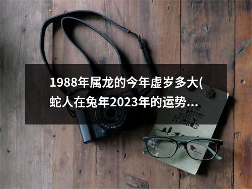 1988年属龙的今年虚岁多大(蛇人在兔年2023年的运势如何)