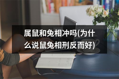 属鼠和兔相冲吗(为什么说鼠兔相刑反而好)