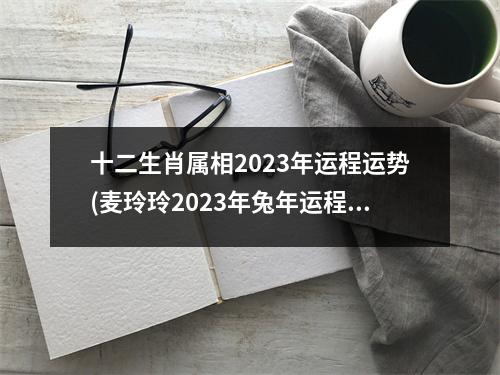 十二生肖属相2023年运程运势(麦玲玲2023年兔年运程)