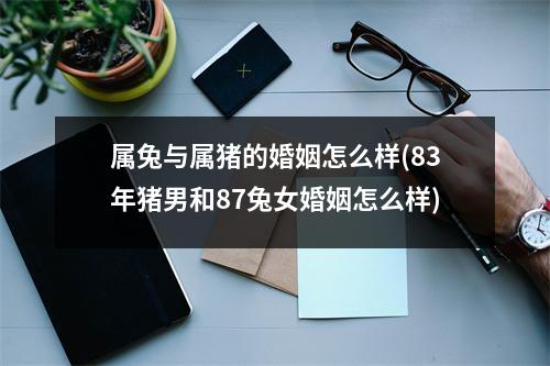 属兔与属猪的婚姻怎么样(83年猪男和87兔女婚姻怎么样)