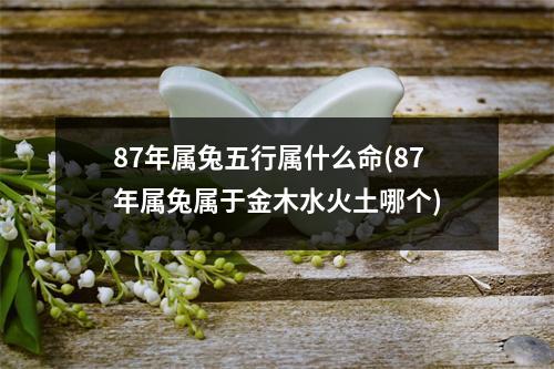 87年属兔五行属什么命(87年属兔属于金木水火土哪个)