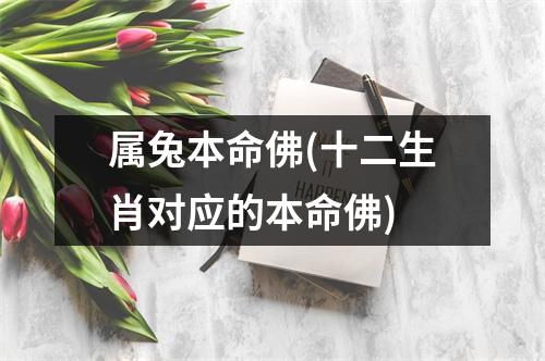 属兔本命佛(十二生肖对应的本命佛)