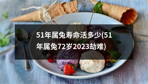 51年属兔寿命活多少(51年属兔72岁2023劫难)