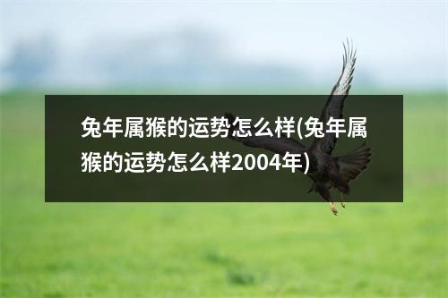 兔年属猴的运势怎么样(兔年属猴的运势怎么样2004年)