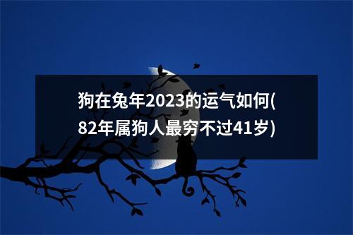 狗在兔年2023的运气如何(82年属狗人穷不过41岁)