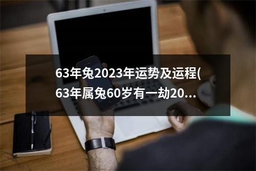 63年兔2023年运势及运程(63年属兔60岁有一劫2023年)