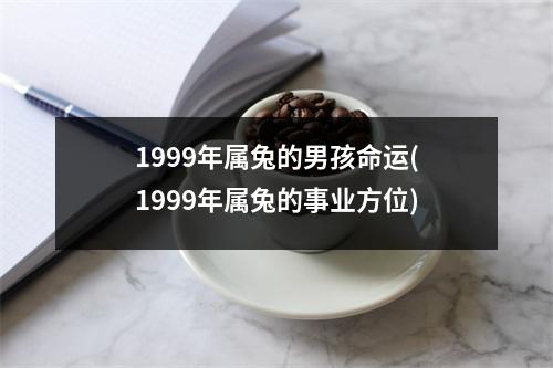 1999年属兔的男孩命运(1999年属兔的事业方位)