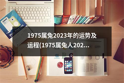 1975属兔2023年的运势及运程(1975属兔人2023年每月运势详解)