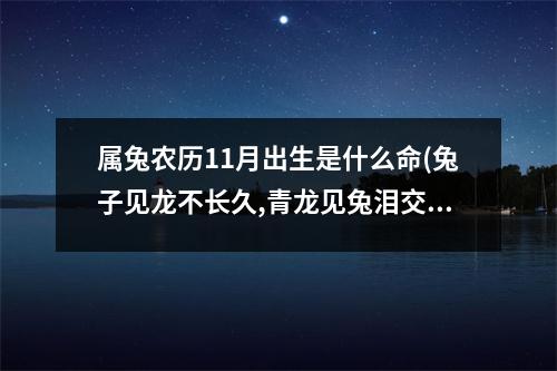 属兔农历11月出生是什么命(兔子见龙不长久,青龙见兔泪交流)