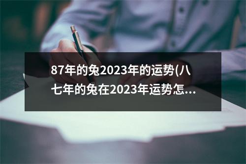 87年的兔2023年的运势(八七年的兔在2023年运势怎么样)