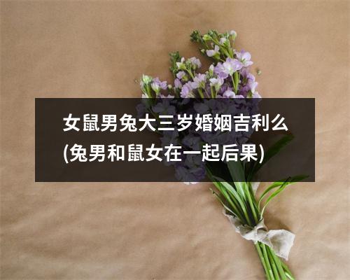 女鼠男兔大三岁婚姻吉利么(兔男和鼠女在一起后果)