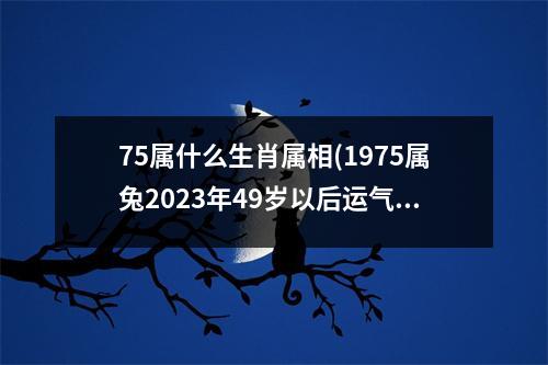 75属什么生肖属相(1975属兔2023年49岁以后运气)