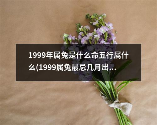 1999年属兔是什么命五行属什么(1999属兔忌几月出生)