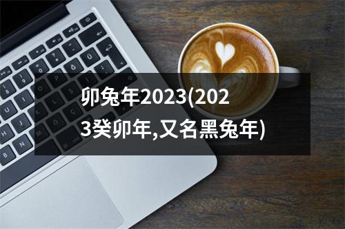 卯兔年2023(2023癸卯年,又名黑兔年)