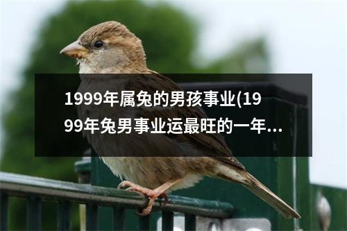 1999年属兔的男孩事业(1999年兔男事业运旺的一年)