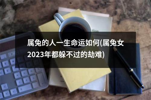 属兔的人一生命运如何(属兔女2023年都躲不过的劫难)