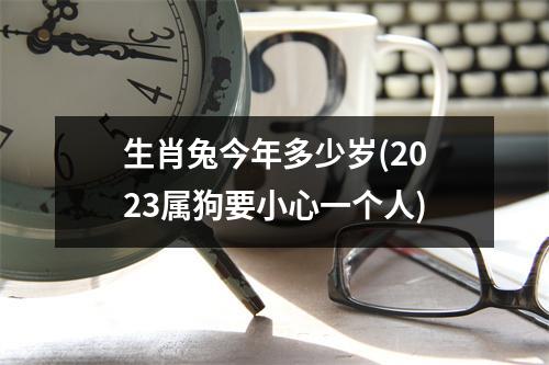 生肖兔今年多少岁(2023属狗要小心一个人)